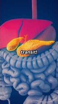 ⏰ How Long Does Digestion REALLY Take? (The Shocking 72-Hour Journey Inside You!)