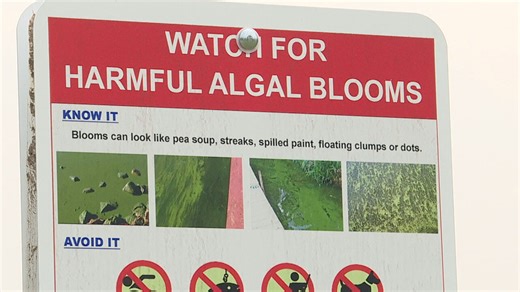 Livingston County provides update on harmful algal blooms