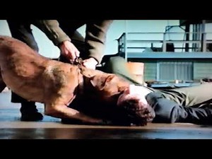 Turner & Hooch 1989 Scene - Scott brings Hooch a Muffin