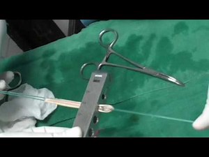 Semi T Triplication for ACL Reconstruction.