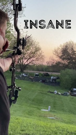 My 102 yard 3 shot group! #archery #practice #bow #arrow #bullseye #accurate #backyard #amazing #cool