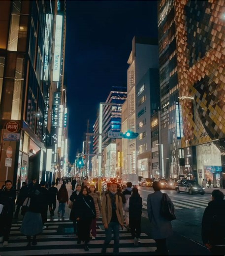 You and Bro Explore Japan: A Cinematic Vlog