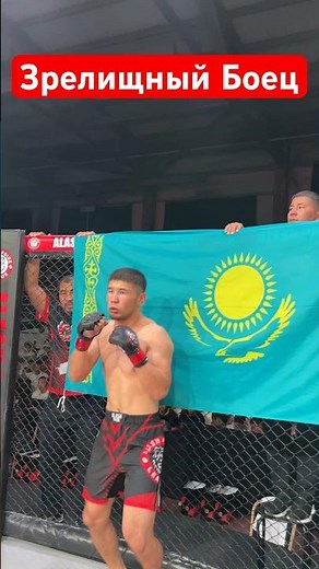 Самый зрелищный боец #мма #combatsport #боец #martialarts #нокаут #mixedmartialarts #бой #ufc #бои