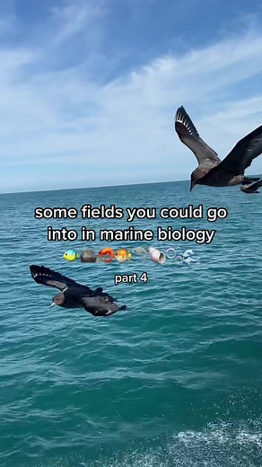 Exploring Diverse Fields in Marine Biology and Environmental Science