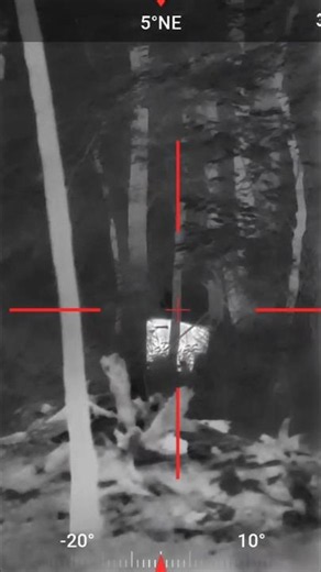 THERMAL HOG HUNTING | 6.5 Grendel + THOR 6 Elite Put in WORK! 🔥🐗 #hoghunting