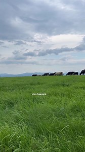 When you farm in harmony with nature, the ecosystem works together to maintain nature's balance 💚 | Organic Valley