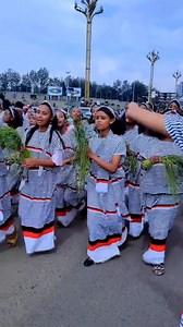 3.6K views · 251 reactions | Oromiyaa | Yoni Intelligence | Facebook