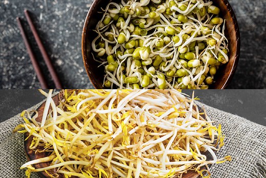 Soybean Sprouts vs Mung Bean Sprouts - Carving A Journey