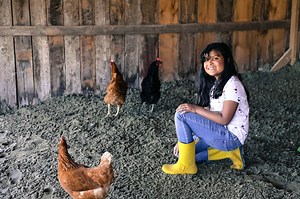 Agritourism in Upstate NY: 15 farmstays for families to enjoy