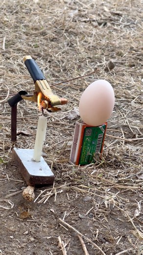 Slow Motion Fire bullet Experiment on Egg 🥚🔥 | Satisfying Shot #experiment #egg #bullete