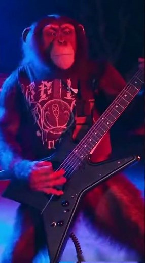 Ape-ocalypse Now: The Chimp Metal Band Meltdown #ChimpMetal #MonkeyBand