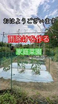 空の浮き雲の家庭菜園 トマトに雨除けを作ります。#再生栽培 #家庭菜園 #田舎暮らし