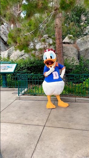 DONALD DUCK just being a silly guy #ducks #disneyland #silly #Duck