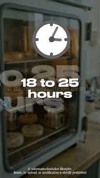 Double Disc Synergy Test (DDST) | ESBL Detection Explained in Simple Steps #microbiologylab