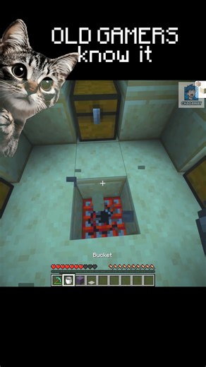 I LANDED on the Plate… and Tried to Survive! 💥💧