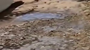 2004年真实记录，印尼海啸，整个城市无一人幸免！