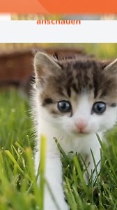 18 reactions | Lerne nicht nur einzelne Wörter, sondern lerne sie anzuwenden.  Lerne jetzt eine neue Sprache mit Babbel! | Babbel | Facebook