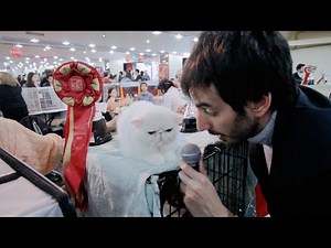 ALGO DE CARLOS | Masterclass de periodismo (En ExpoGatos)