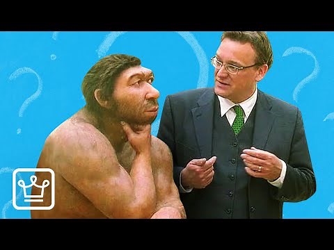 How To Win Arguments With Stupid People