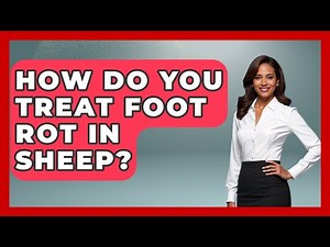 How Do You Treat Foot Rot In Sheep? - The World of Agriculture