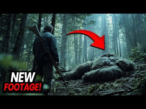 10 Terrifying Forest Sightings Caught on Camera - Compilation!