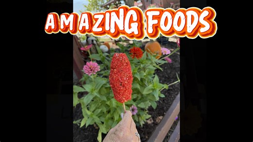 🍁 Come see what makes Exeter so special at fall! www.exetercornmaze.com | Exeter Corn Maze