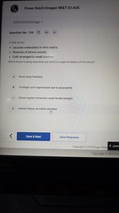 A slide shows:Lacunae embedded in firm matrix.Absence of blo... | Filo