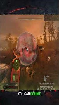 The Pellicle Artifact ☣️ | Hidden Blueprint in the Toxic Bog – S.T.A.L.K.E.R. 2