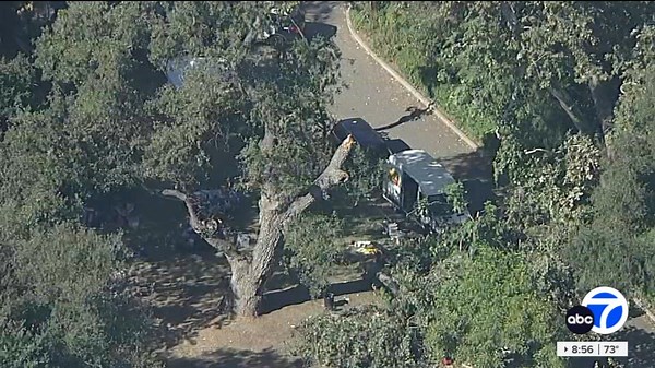 New details after 8-year-old killed by falling tree limb at SoCal park