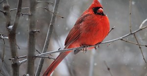 Photo by Harvey Reed on Pexels