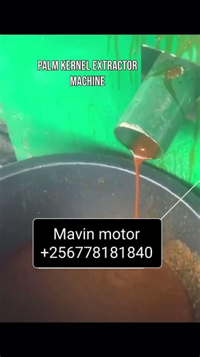 Palm oil extractor Machin