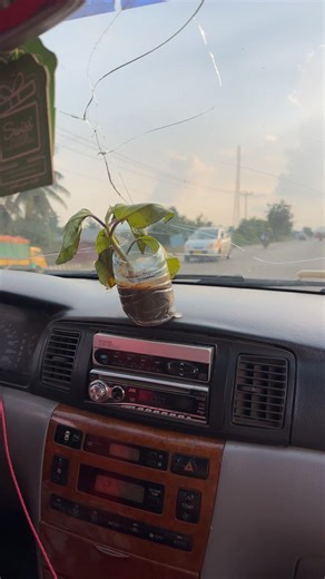 Top Tips for Successful Farming Practices