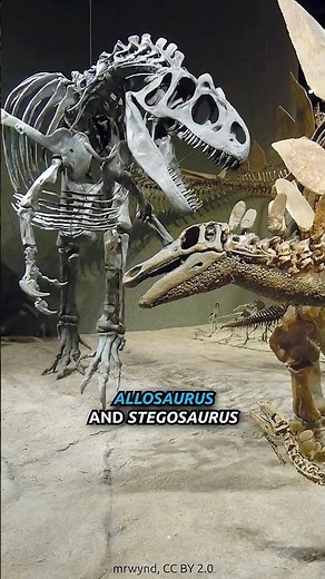 Is This Dinosaur Fight Scene Confirmed by Fossils?
