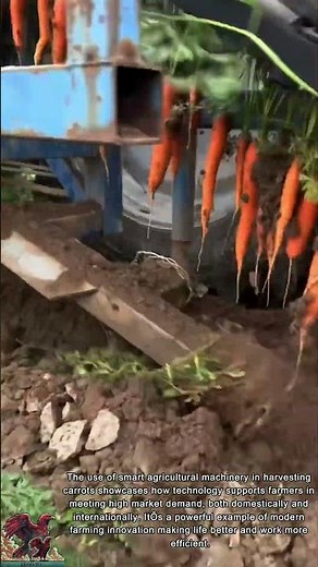 Smart Carrot Harvester || Farmer in Agriculture