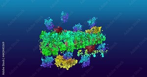 cocktail party animation of ice lemons cherries and lettering