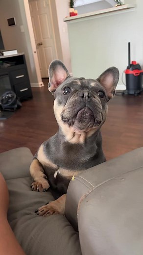 Danielle (@dannie__renae)’s videos with original sound - undiagnosedanthony