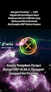 Analyst Sets XRP Price Target At $6.5, These Dates Are Key