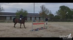 ⚡️ Premiers sauts à la maison pour Hercule : Un régal 😁 ! ⚡️ Hongre SF de 7 ans par Candy de Nantuel d'1m67 environ . Agréable au quotidien. Chouette qualité. Une dizaine de tours seulement. 👨‍⚕️Bonne visite 12 clichés clinique ☎️ Contact Haras des Hayes 06 82 74 32 47 | Haras des Hayes