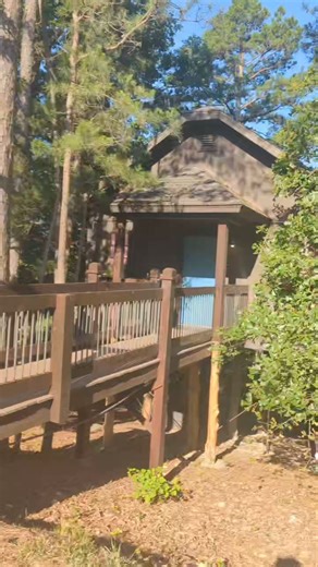 16K views · 155 reactions | Let's check out our Big Sur Treehouse. All of our Treehouses have the exact same layout and are themed after different locations. | Eureka Springs Treehouses | Facebook