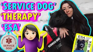 The Difference Between Service Dogs, ESA’s and Therapy Animals.