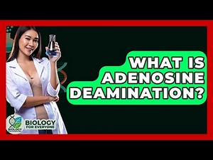 What Is Adenosine Deamination? - Biology For Everyone