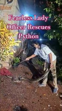 Fearless Forest Officer Saves a Python 👏
