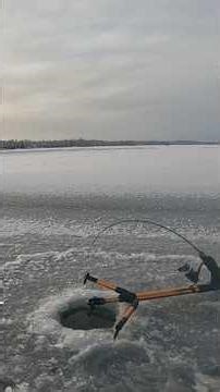 Celsius jaw jacker catches me a rainbow trout ice fishing