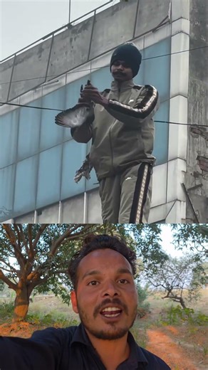 Saved a bird 😎❤️ Sigma rule | inspirational quotes | motivational quotes #shorts #motivational