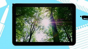 Les a jeho význam - ČT edu - Česká televize