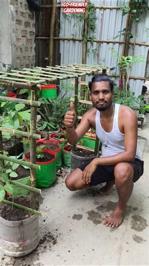 ♻️ Recycle Water Jars into Smart Planters & Bamboo Trellis | Genius Garden Idea #shorts #gardening