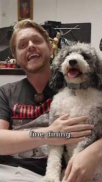 #Ad Meet Ollie and his doggie Meal plan.