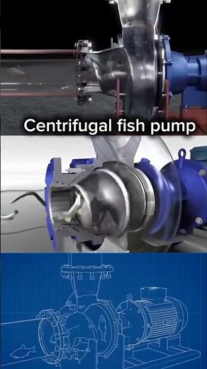 How a Spiral Centrifugal Fish Pump Works Safely #short