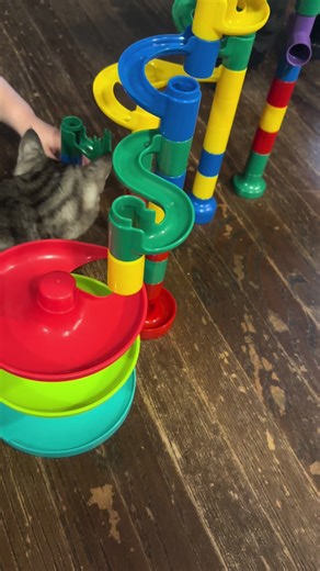 No cats were harmed in the making of this lol we have a really great consignment store in town that cleans up toys so nice when they come in and always has something new every time I go. This is awesome find was only $3! #thrifted #thrifting #daycareprovider #childcare #activityforkids