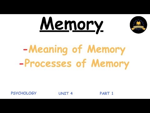 Psychology: Unit 4- Meaning and Processes of Memory | in Thok Nath